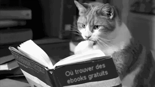 cat-reading